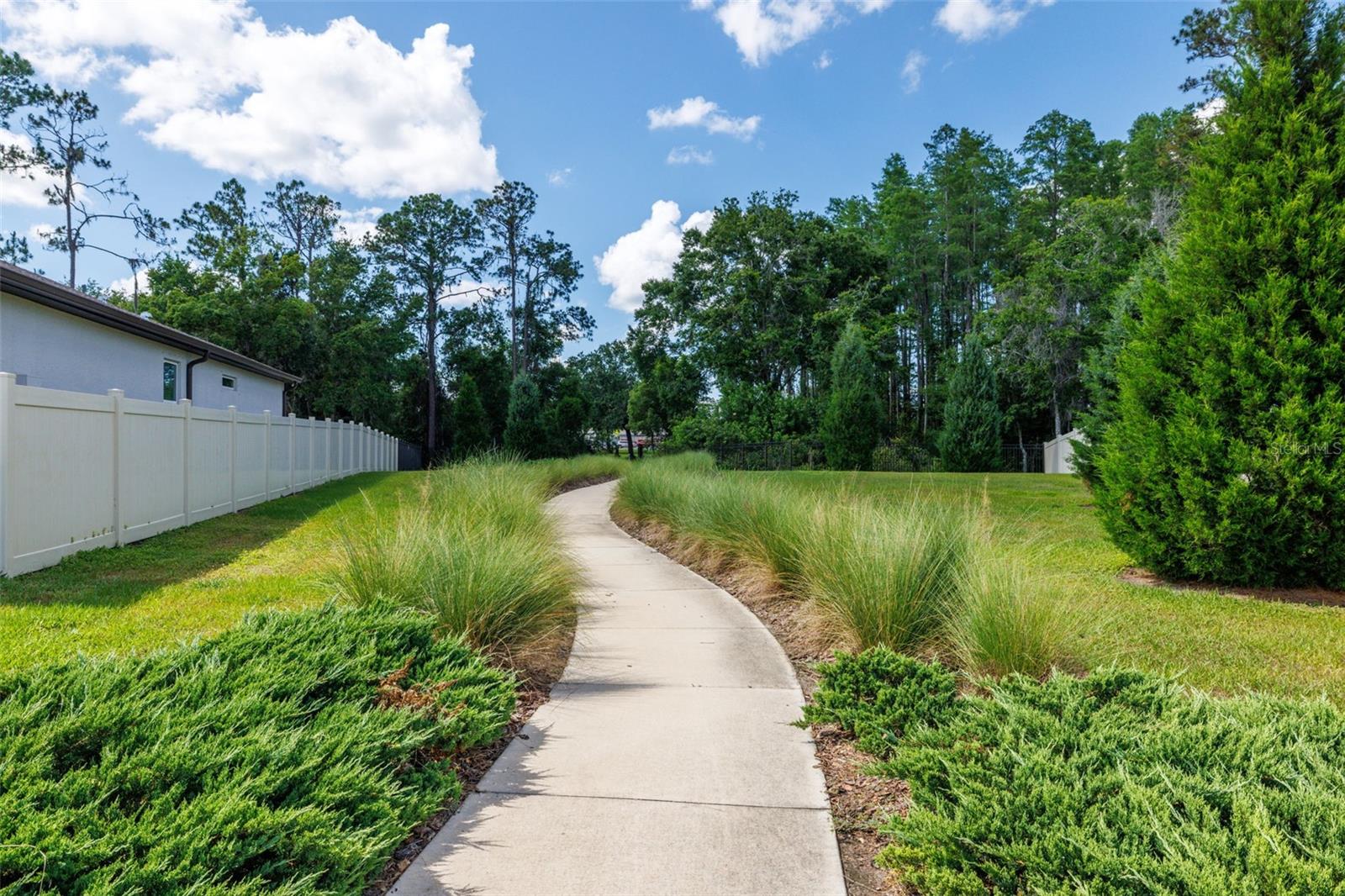 walking path to Land O'Lakes High School