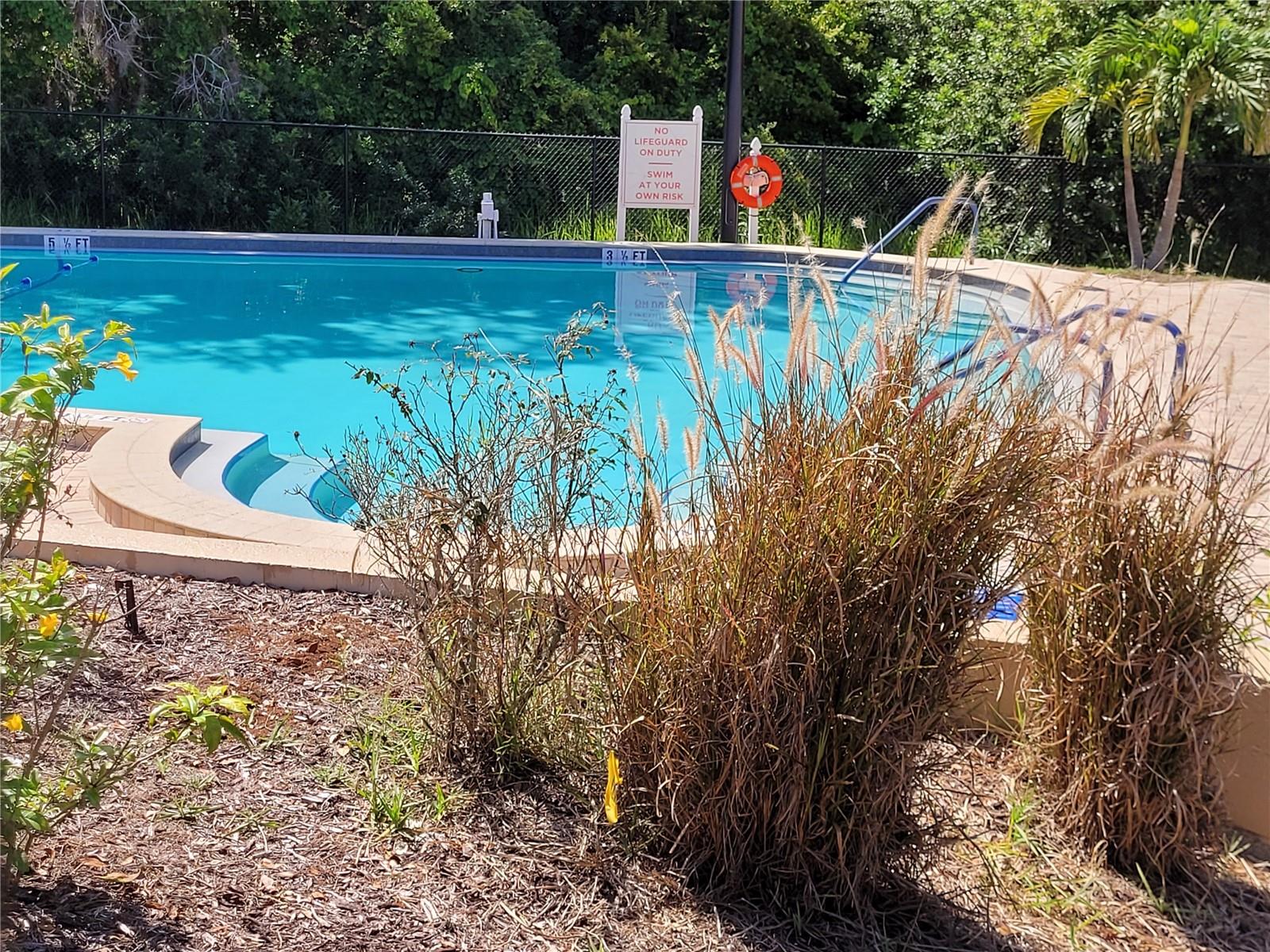 Lodge Pool