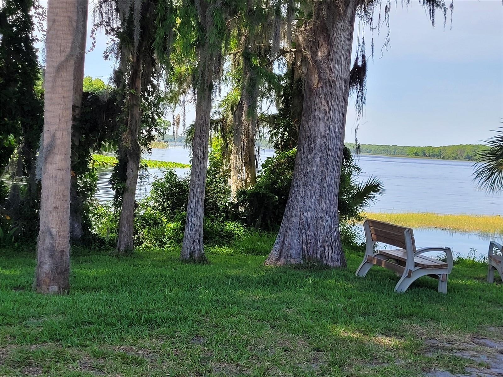 Lake Tarpon with Highland Lakes boat ramp