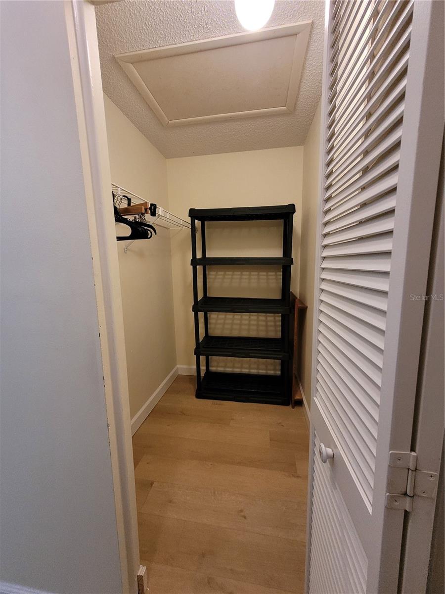 Master walk in closet