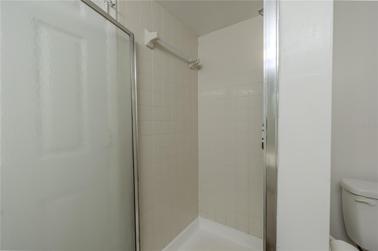 Primary walk-in shower