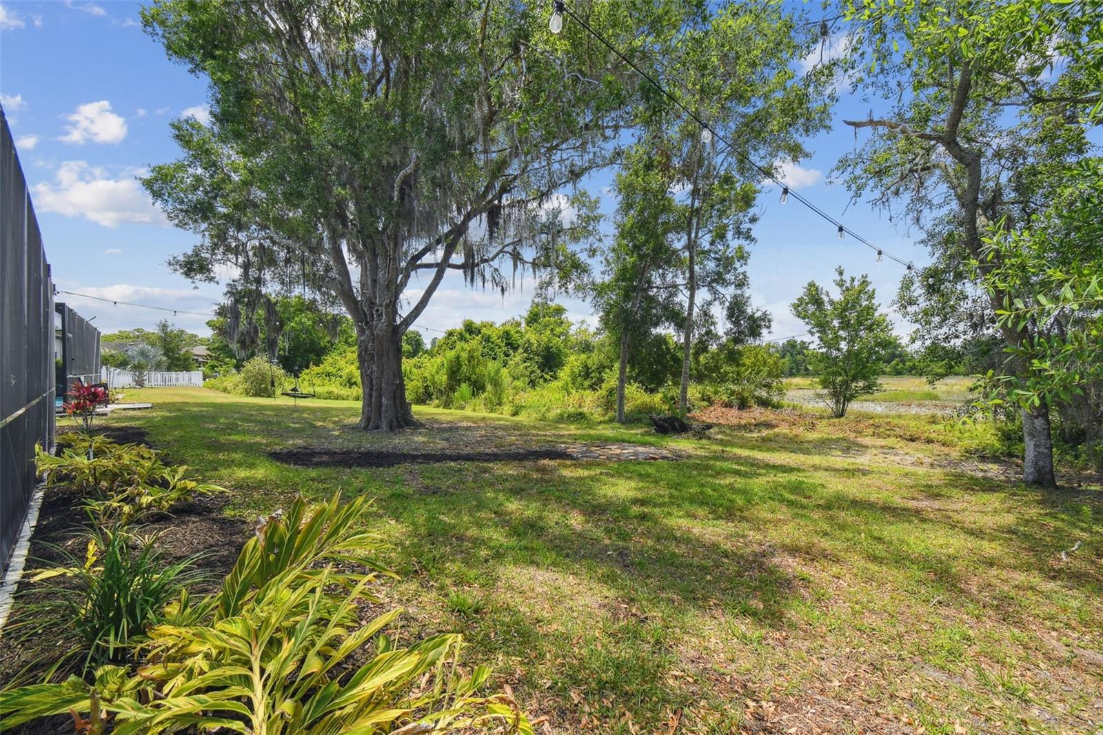 Back yard