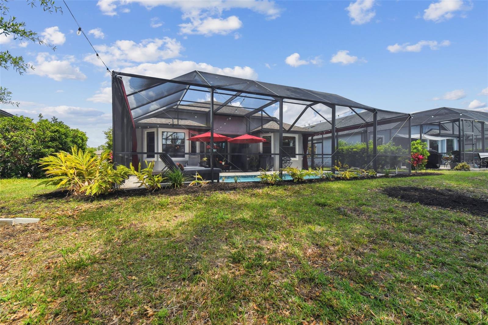 Back yard/Enclosure