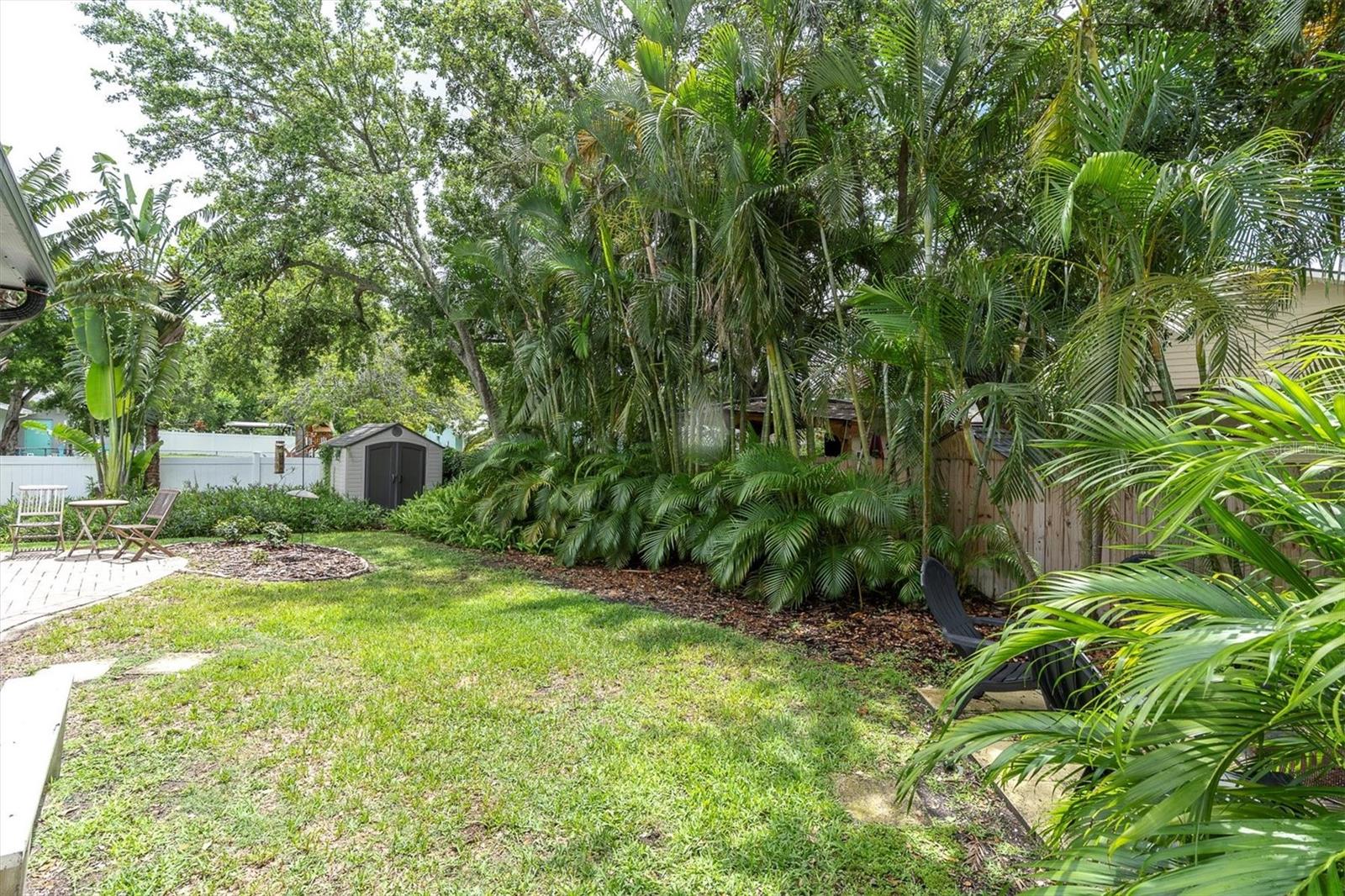 Backyard Tropical Landscaping