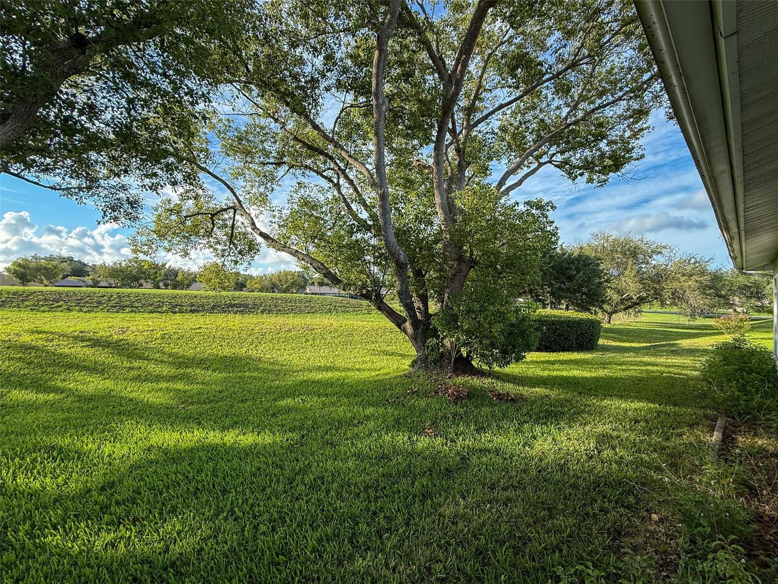 View from Rear of Home