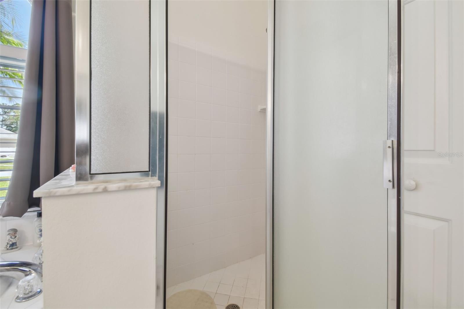 Primary Bathroom Shower