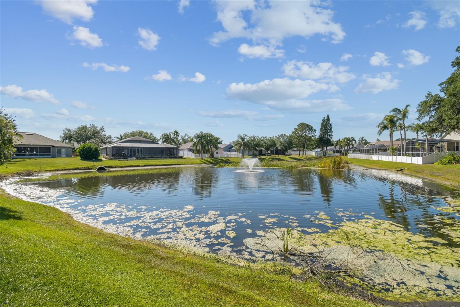 Pond View