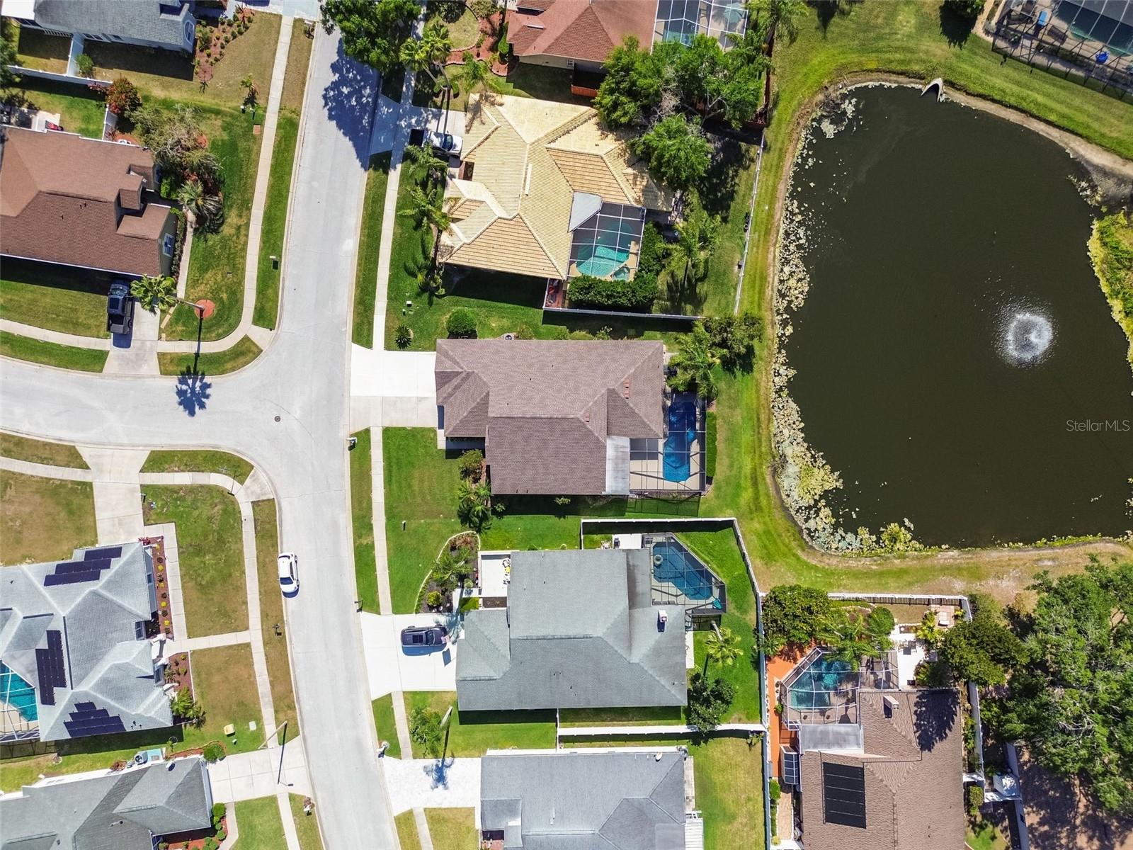 Ariel View
