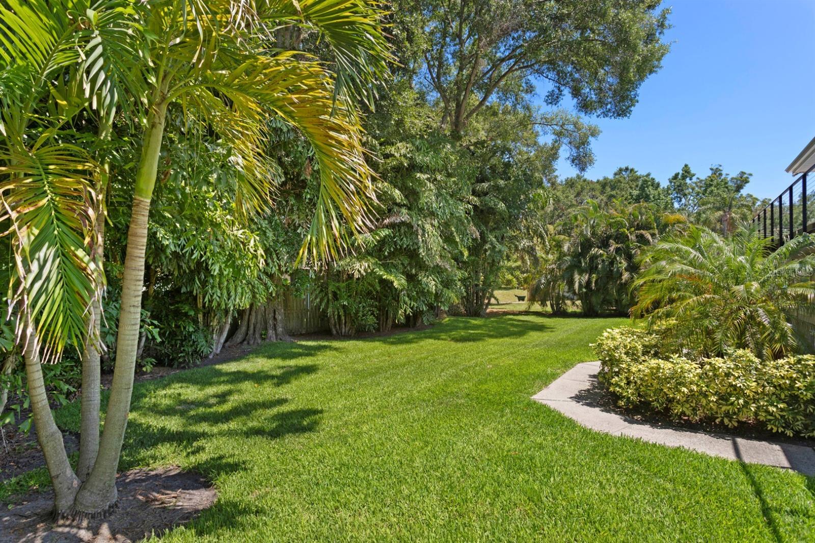 Lush Back Yard