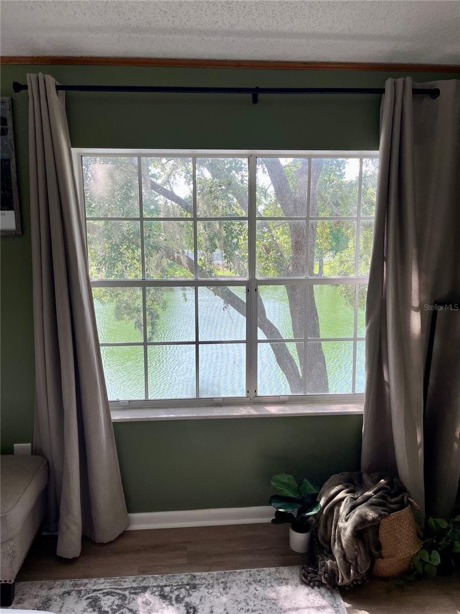 Master view