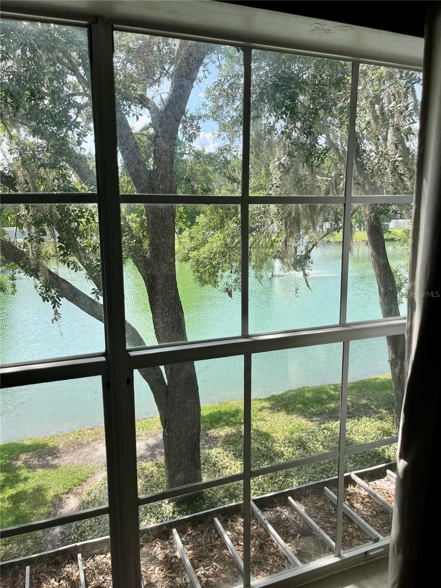 View from master