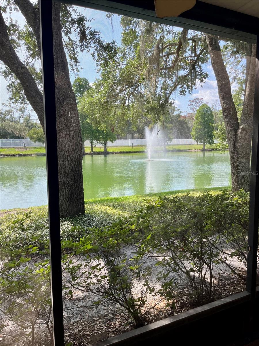 Fountain