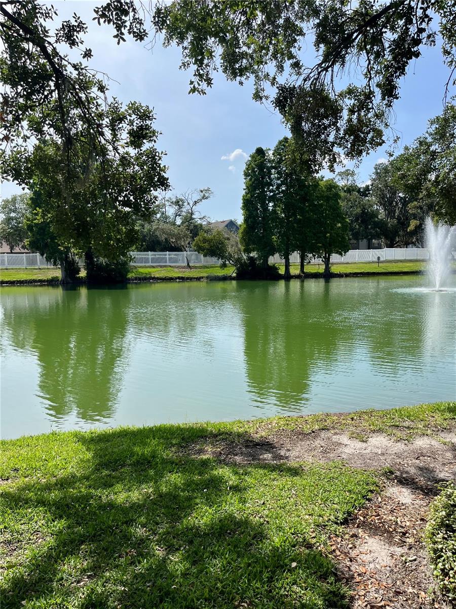 Backyard view