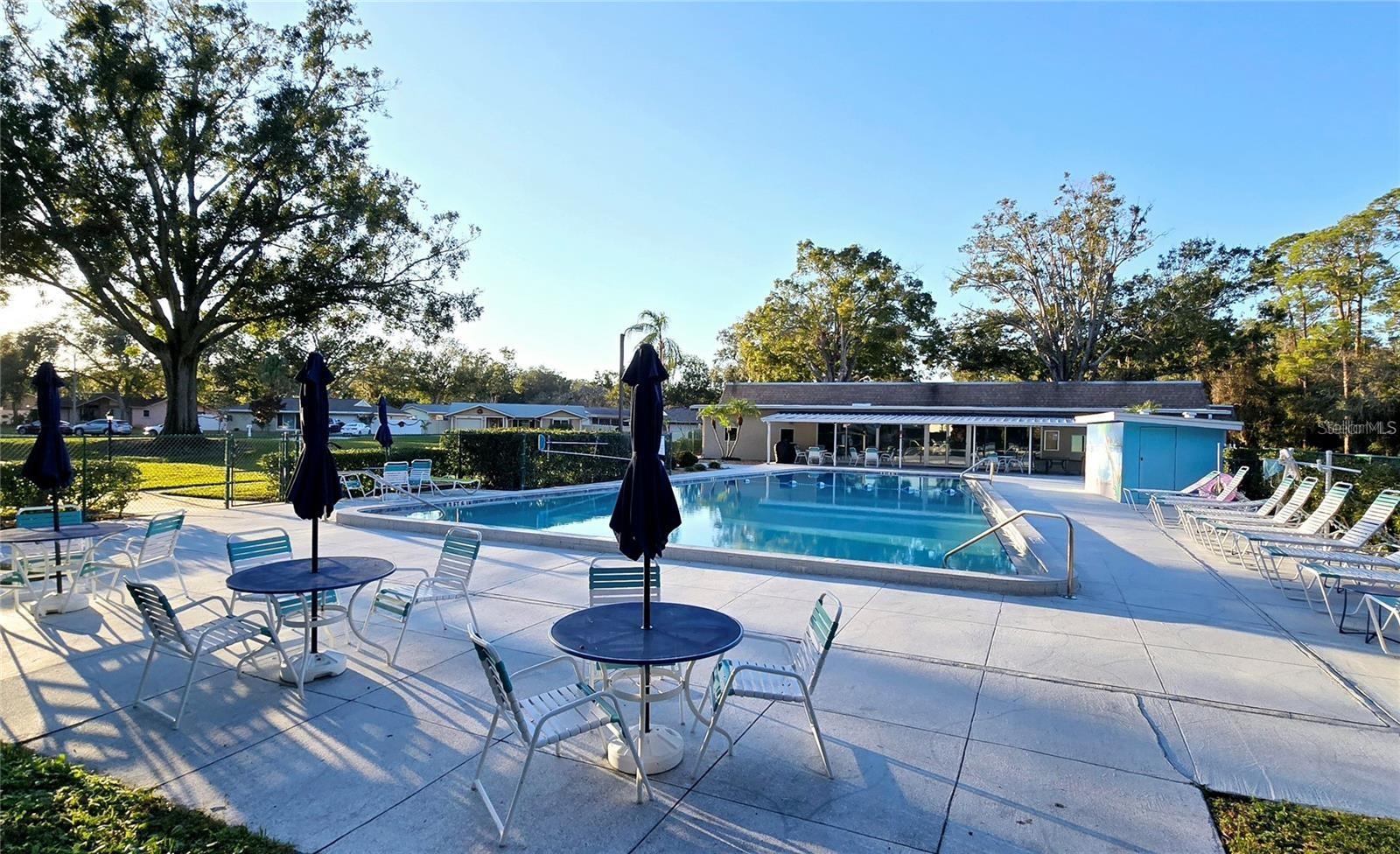 Pool