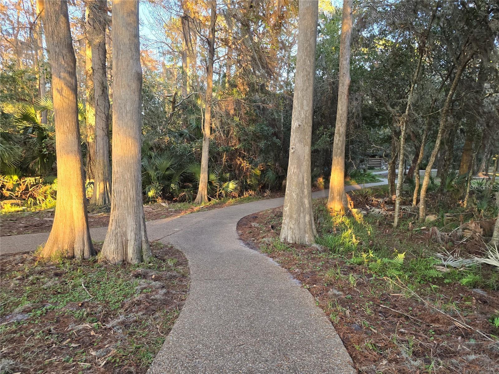 John Chestnut Park