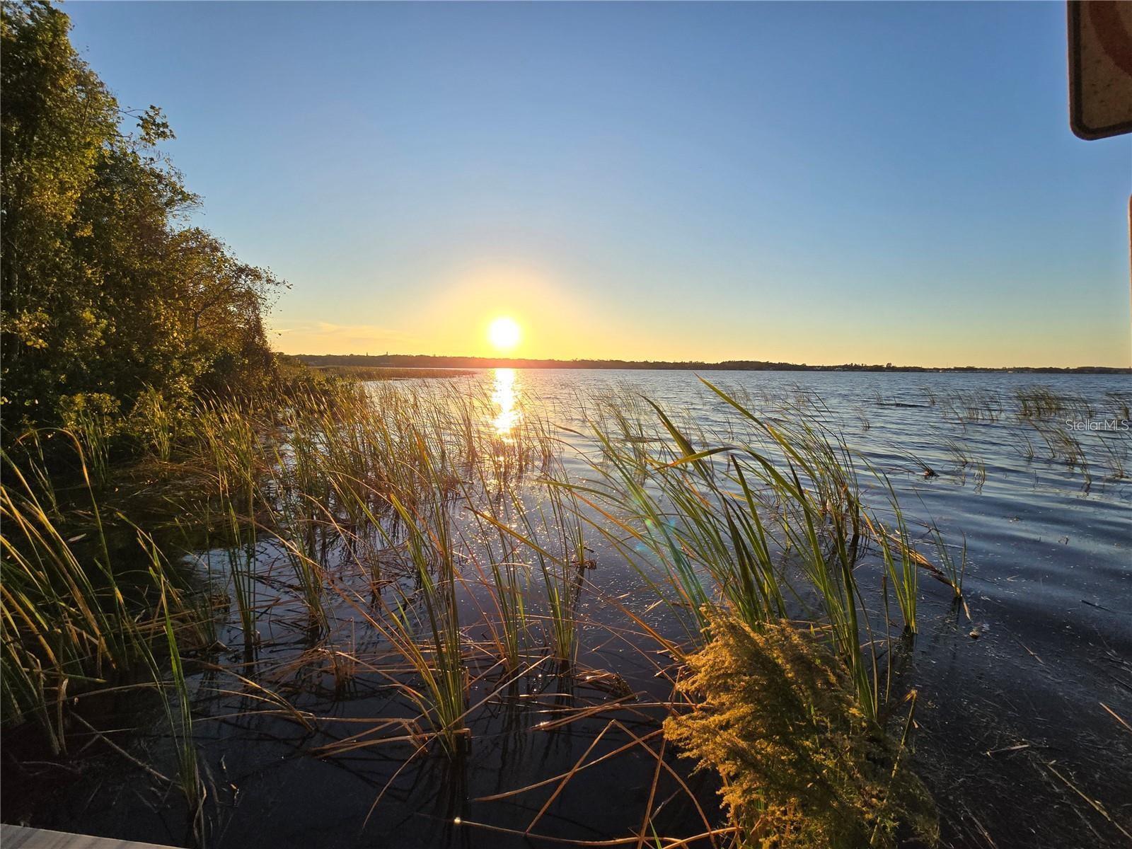John Chestnut Park/Lake Tarpon