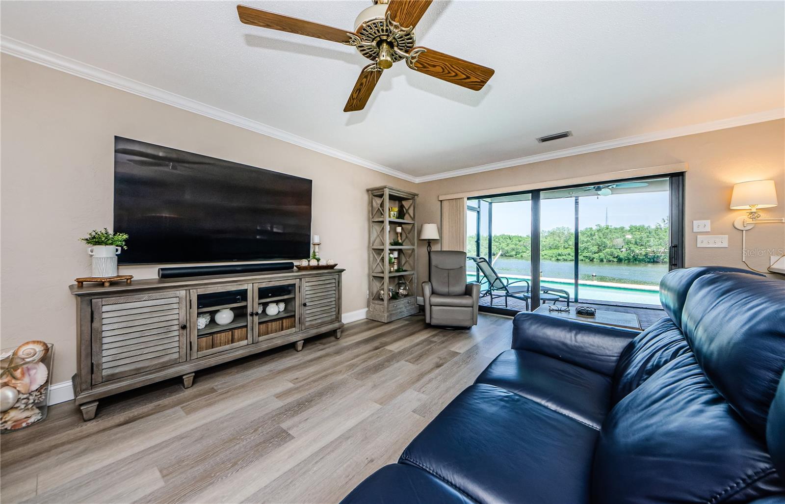 Watch the dolphins from your sofa!
