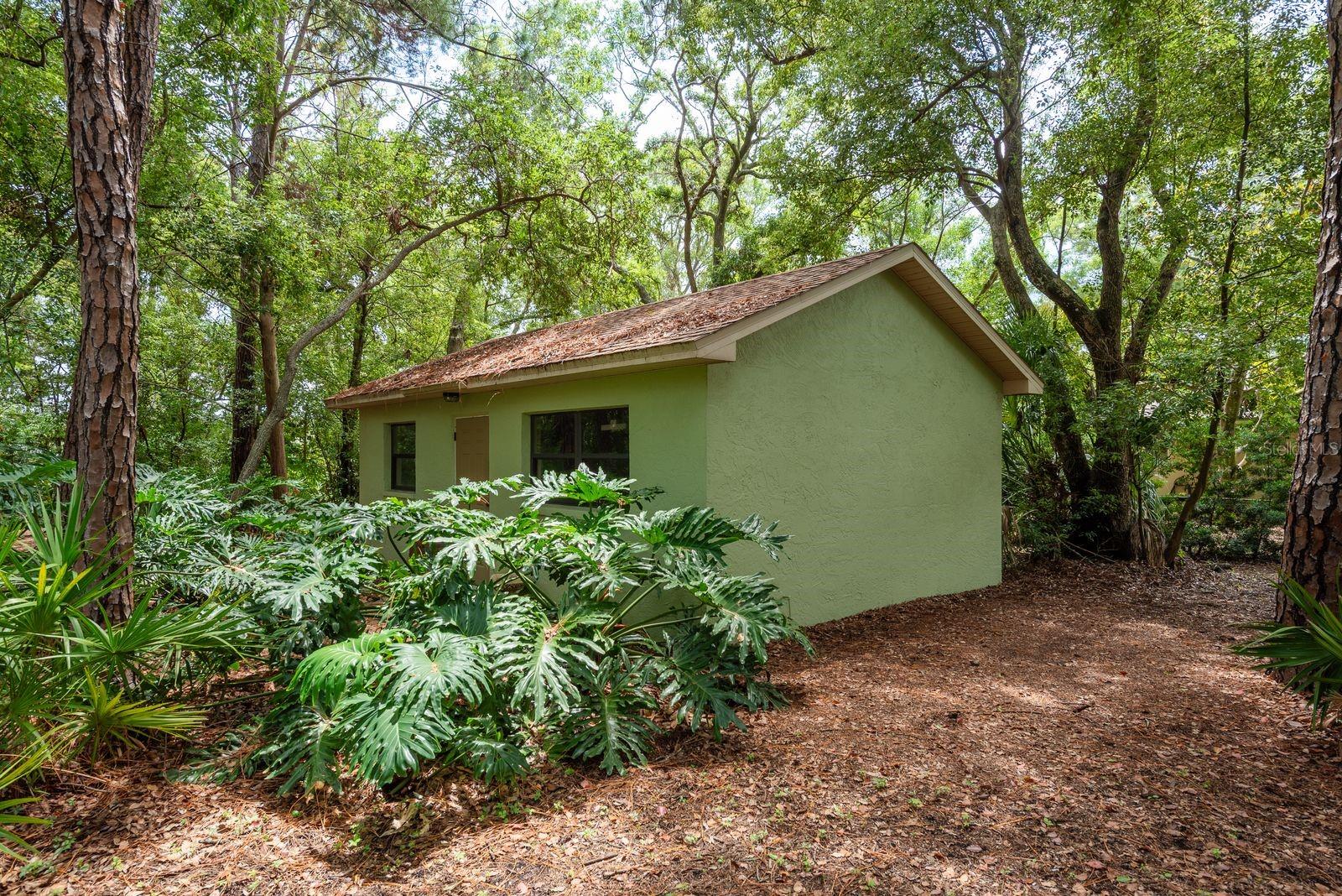 Huge Backyard Workshop