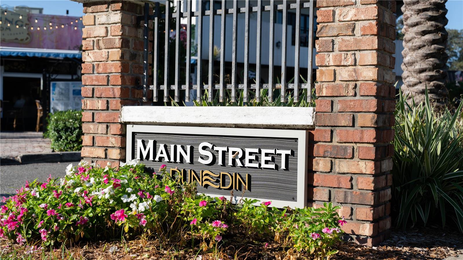 Main Street Dunedin