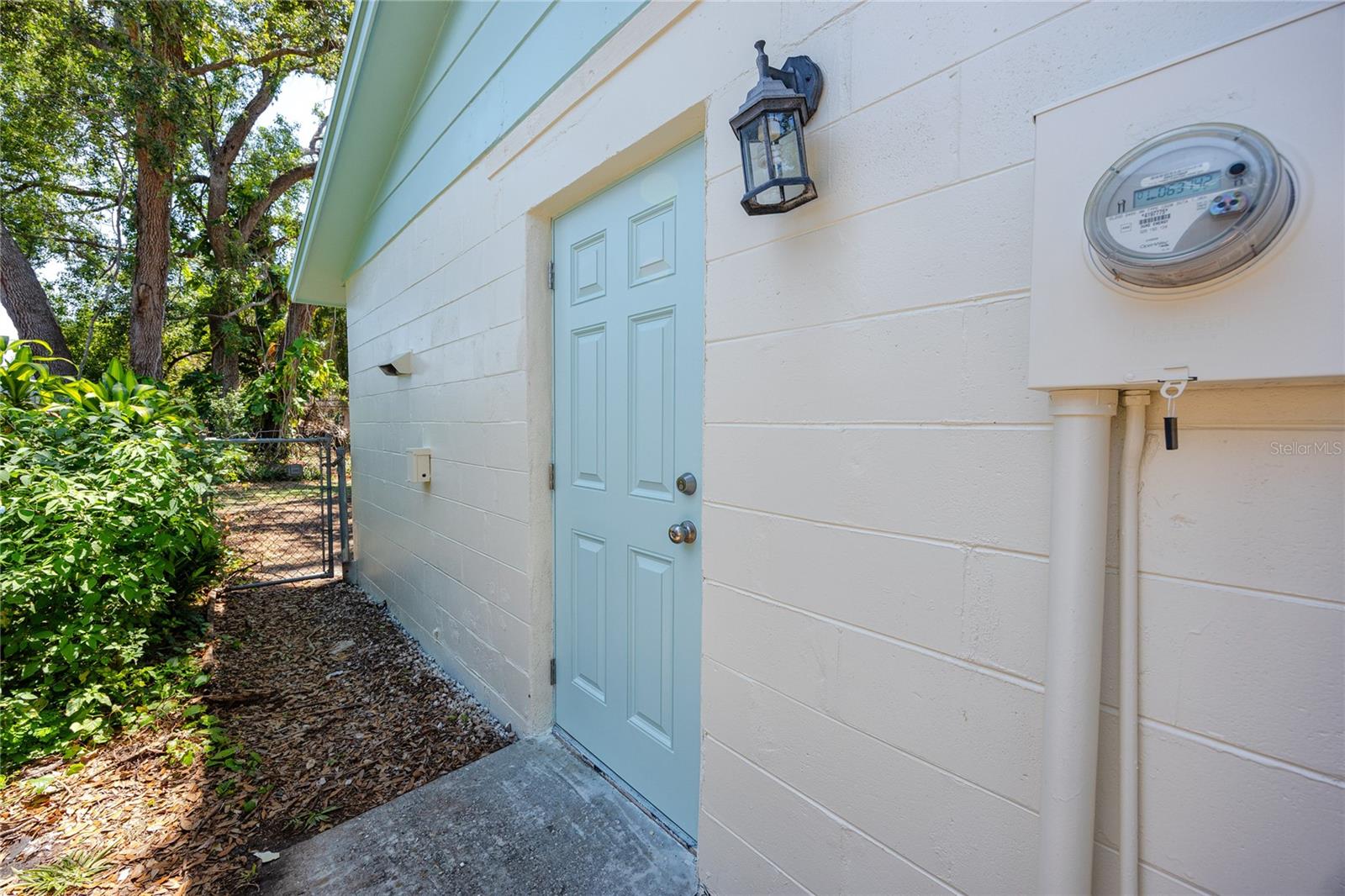 Side Door/yard