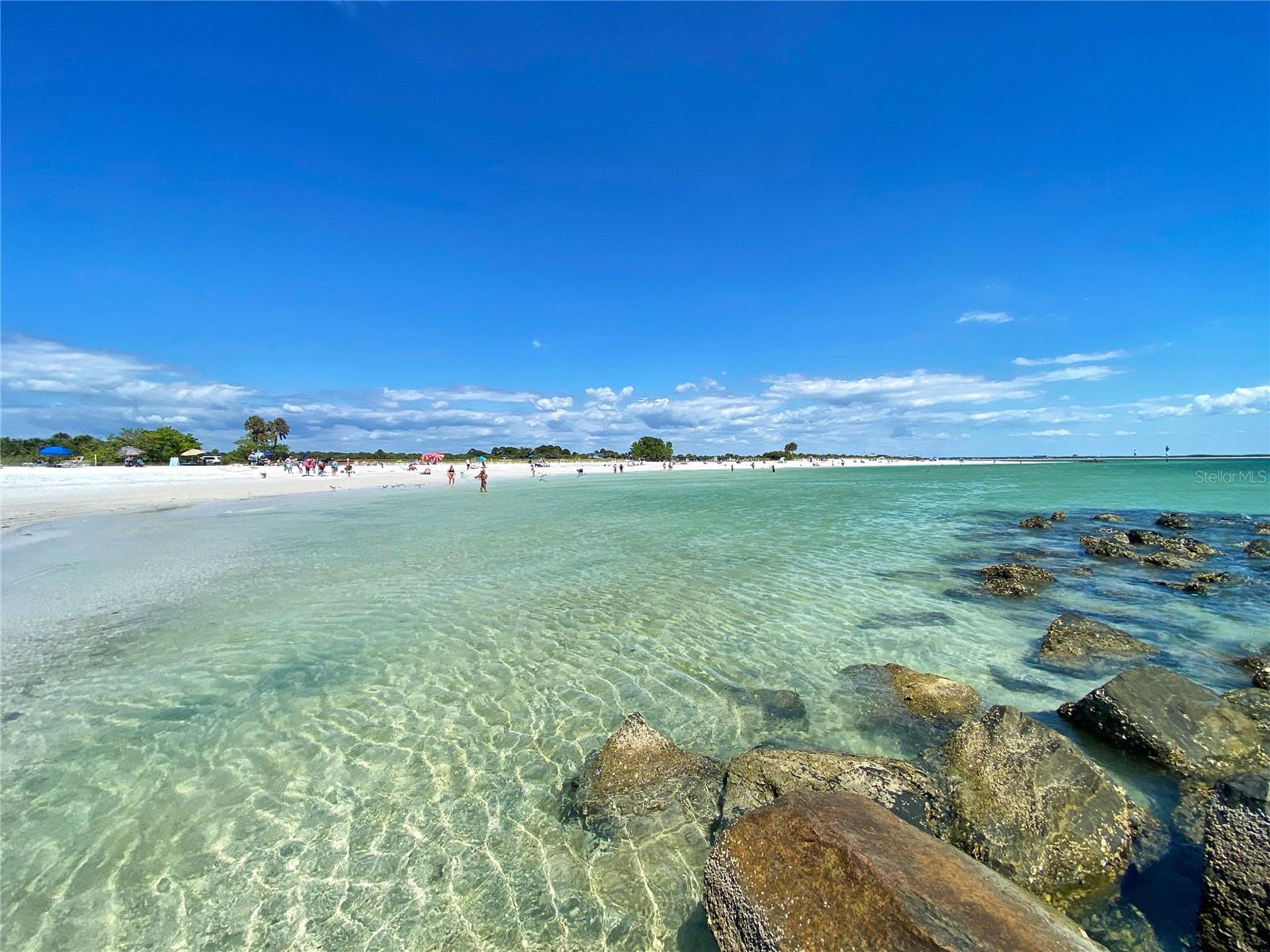 Dunedin Scenes -Honeymoon Island