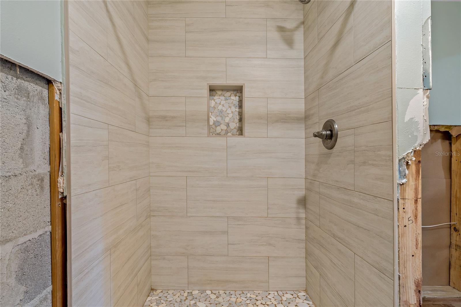 Guest Bath Shower