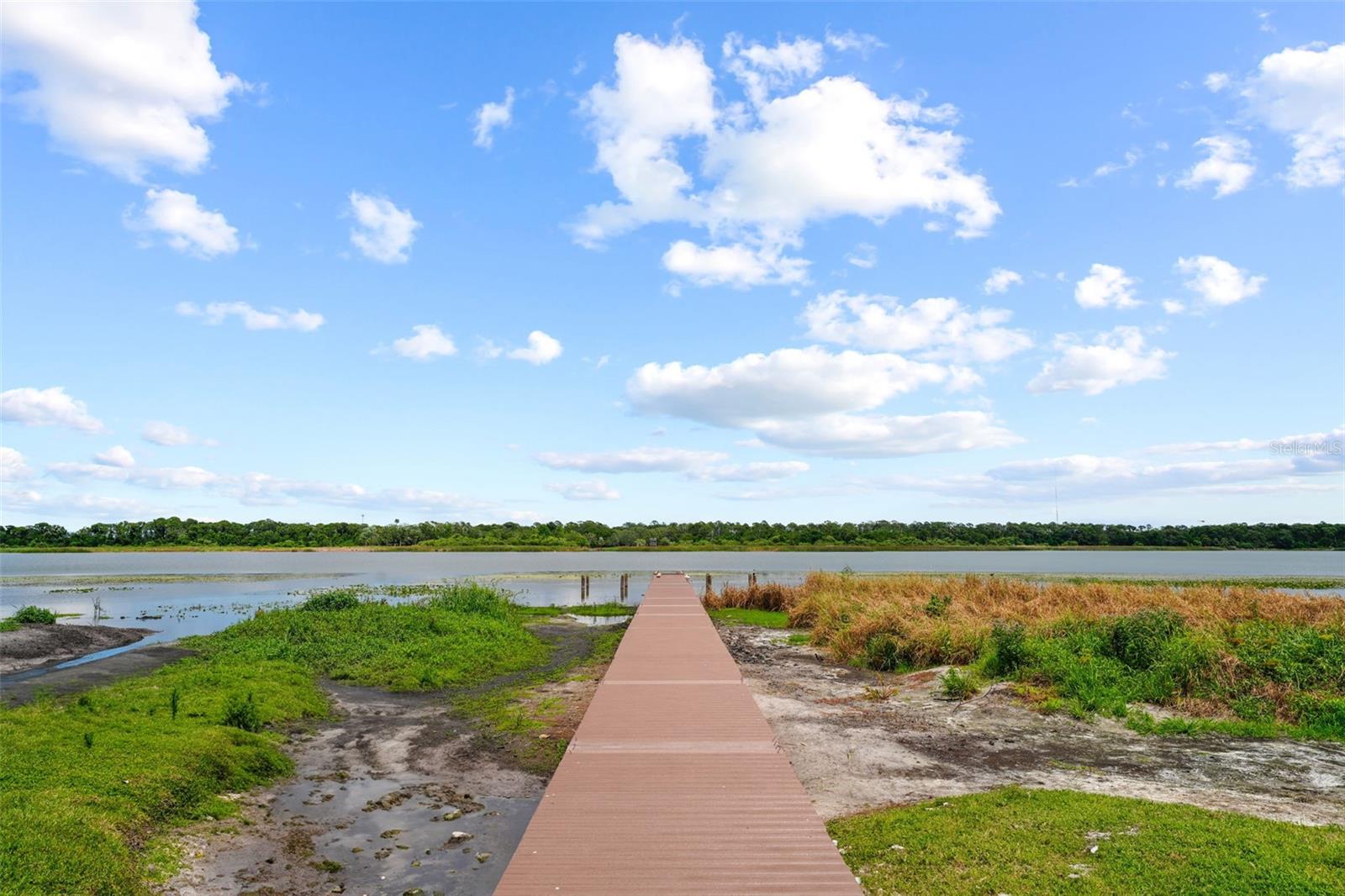 Lake Seminole