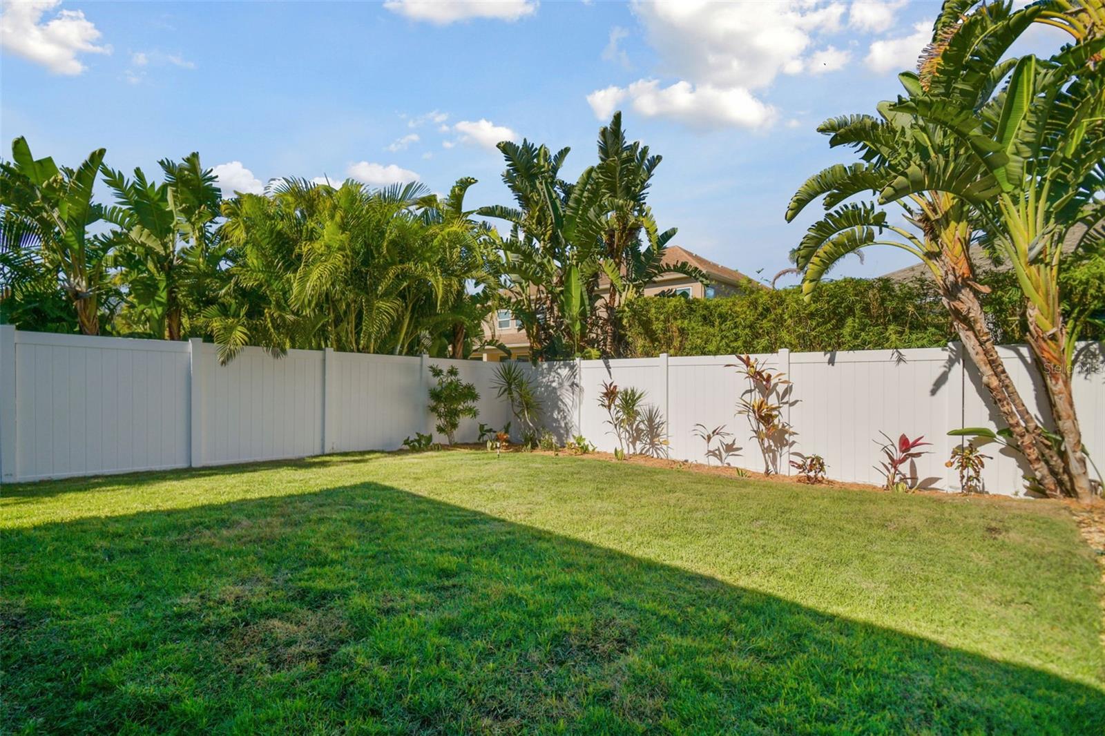 Fenced Backyard
