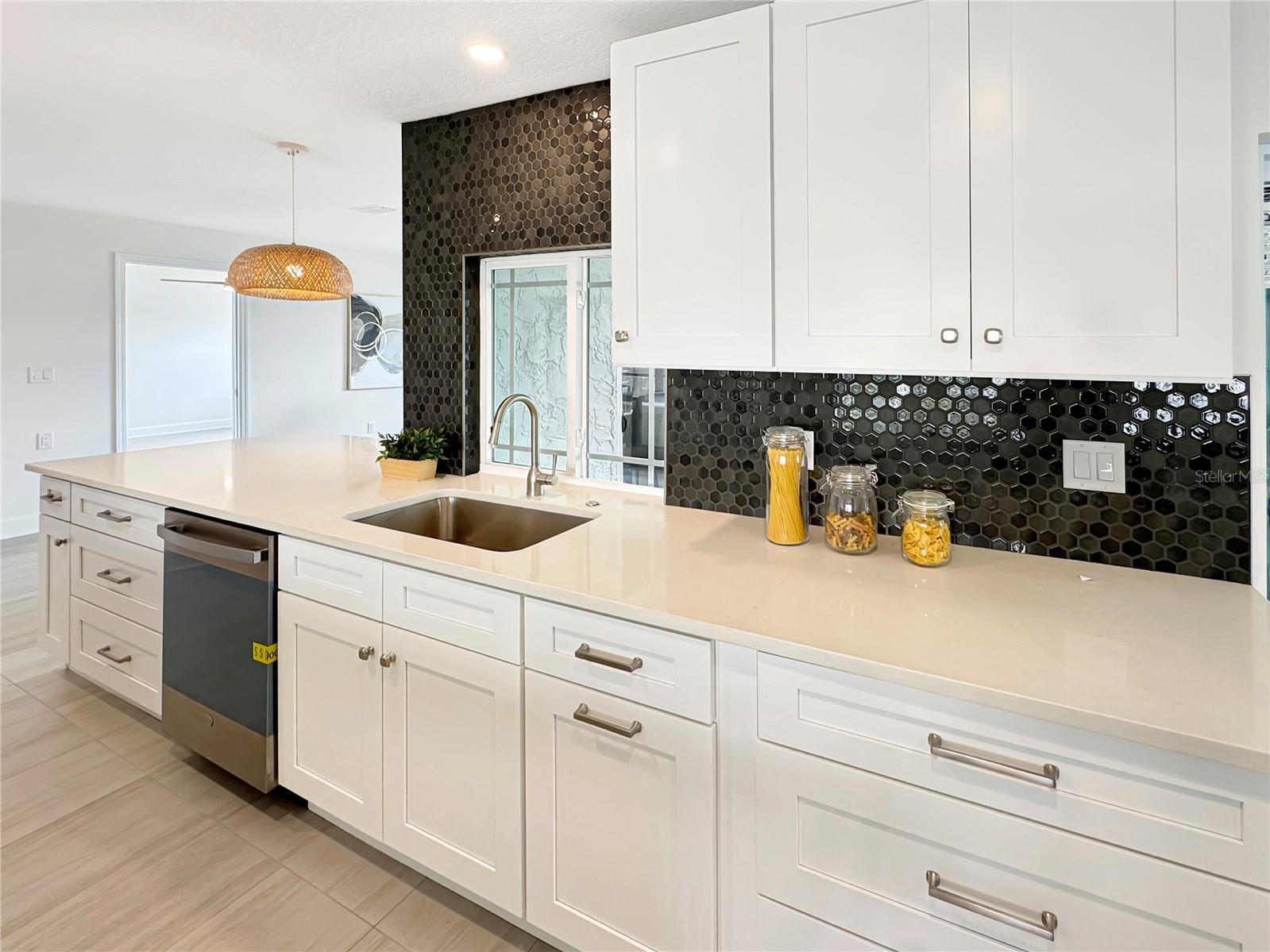Kitchen – Sink, Dishwasher & Cabinets
