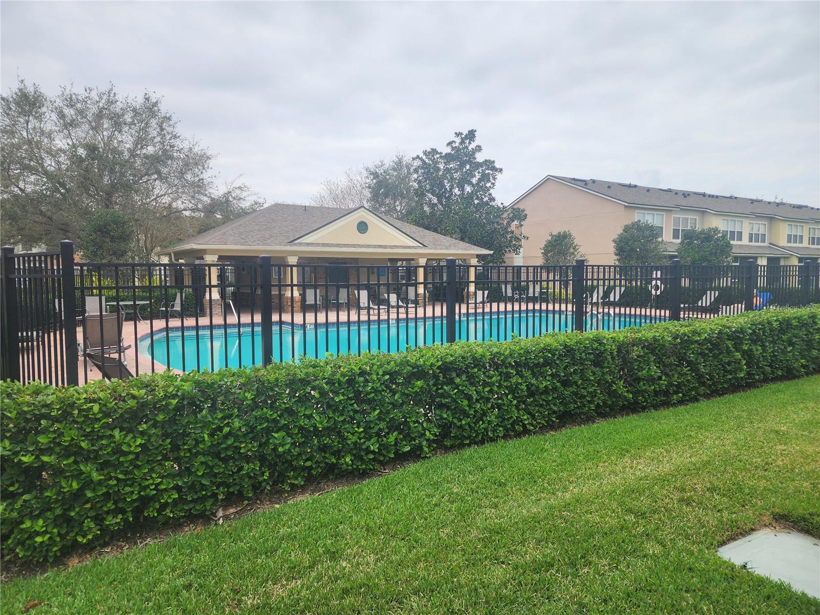 Pool view from the back porch
