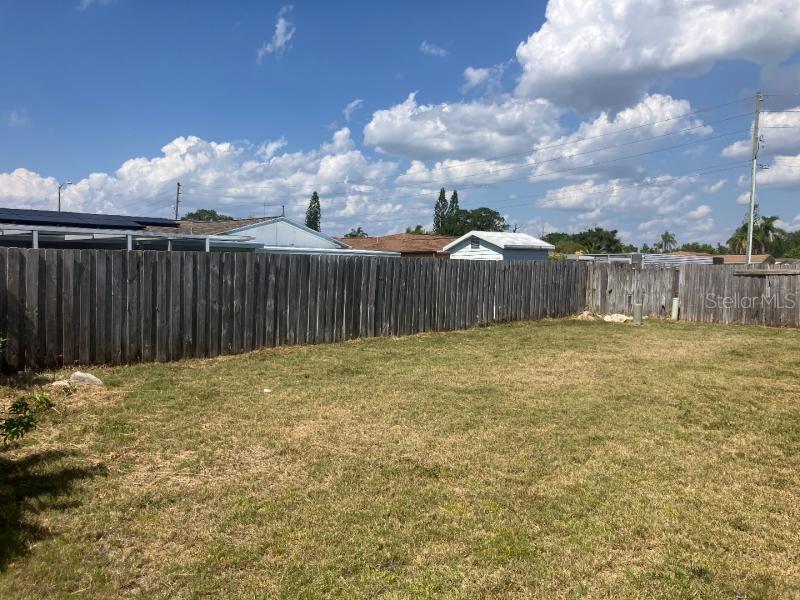 Backyard