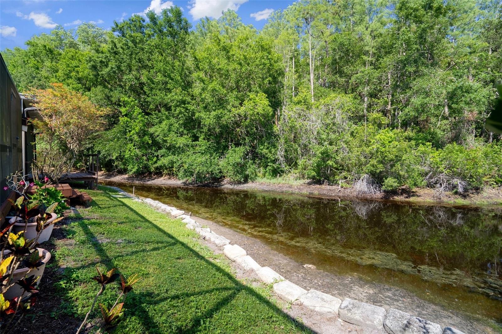 Pond view has otters and wildlife (low right now)