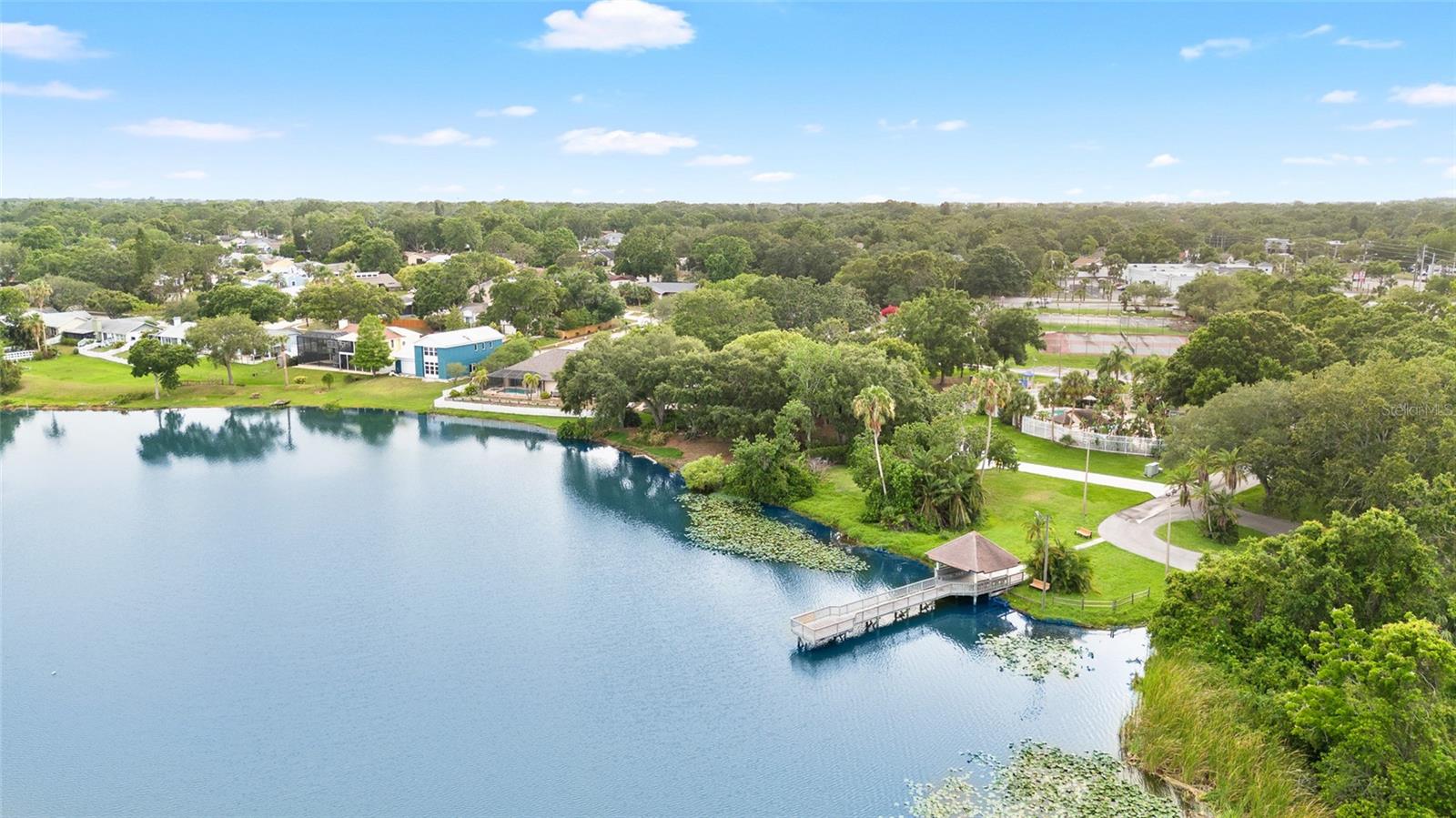 Stunning community park area on beautiful 64 acre Lake St. George