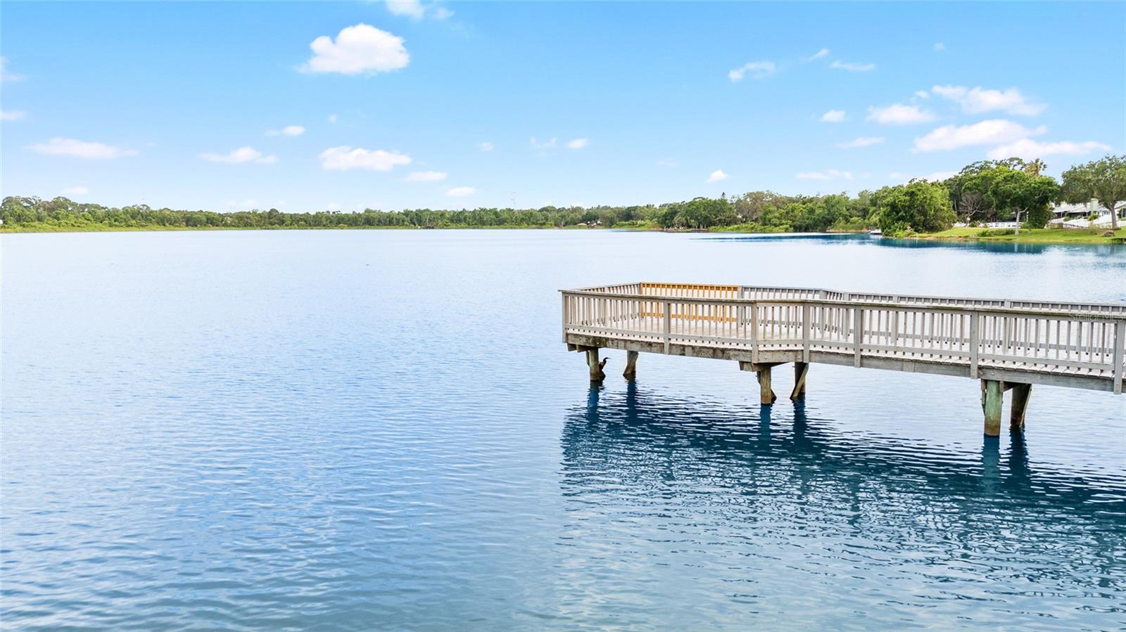 Long dock over the lake