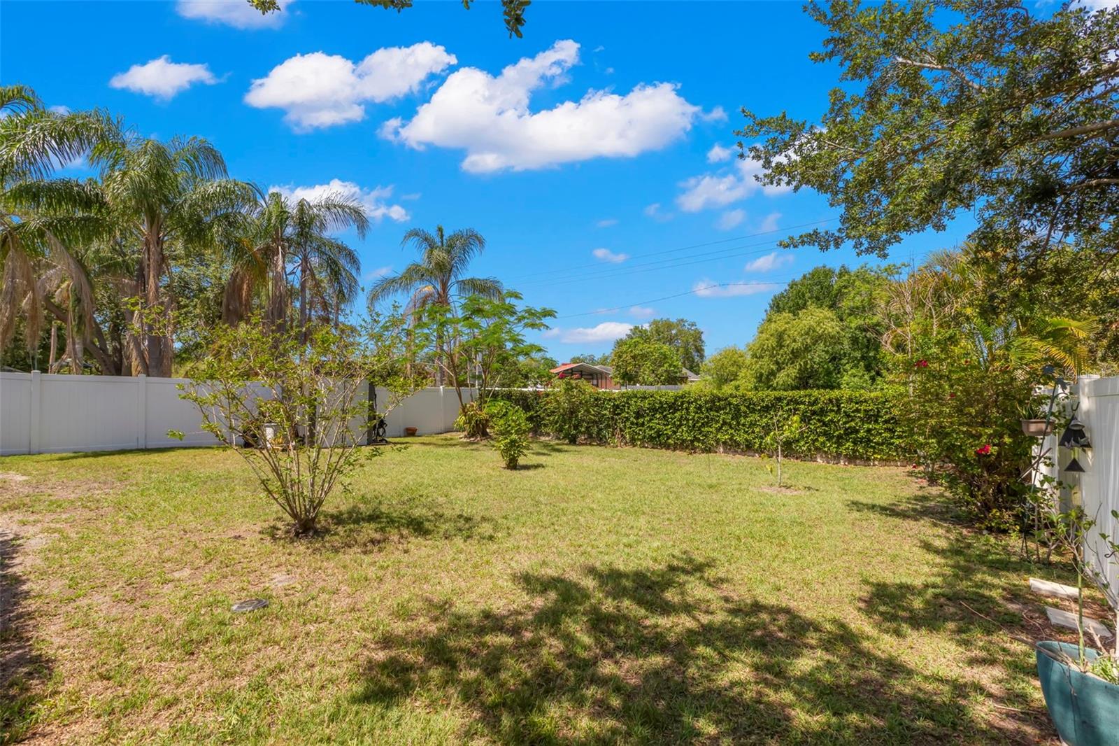 Backyard with fruit trees