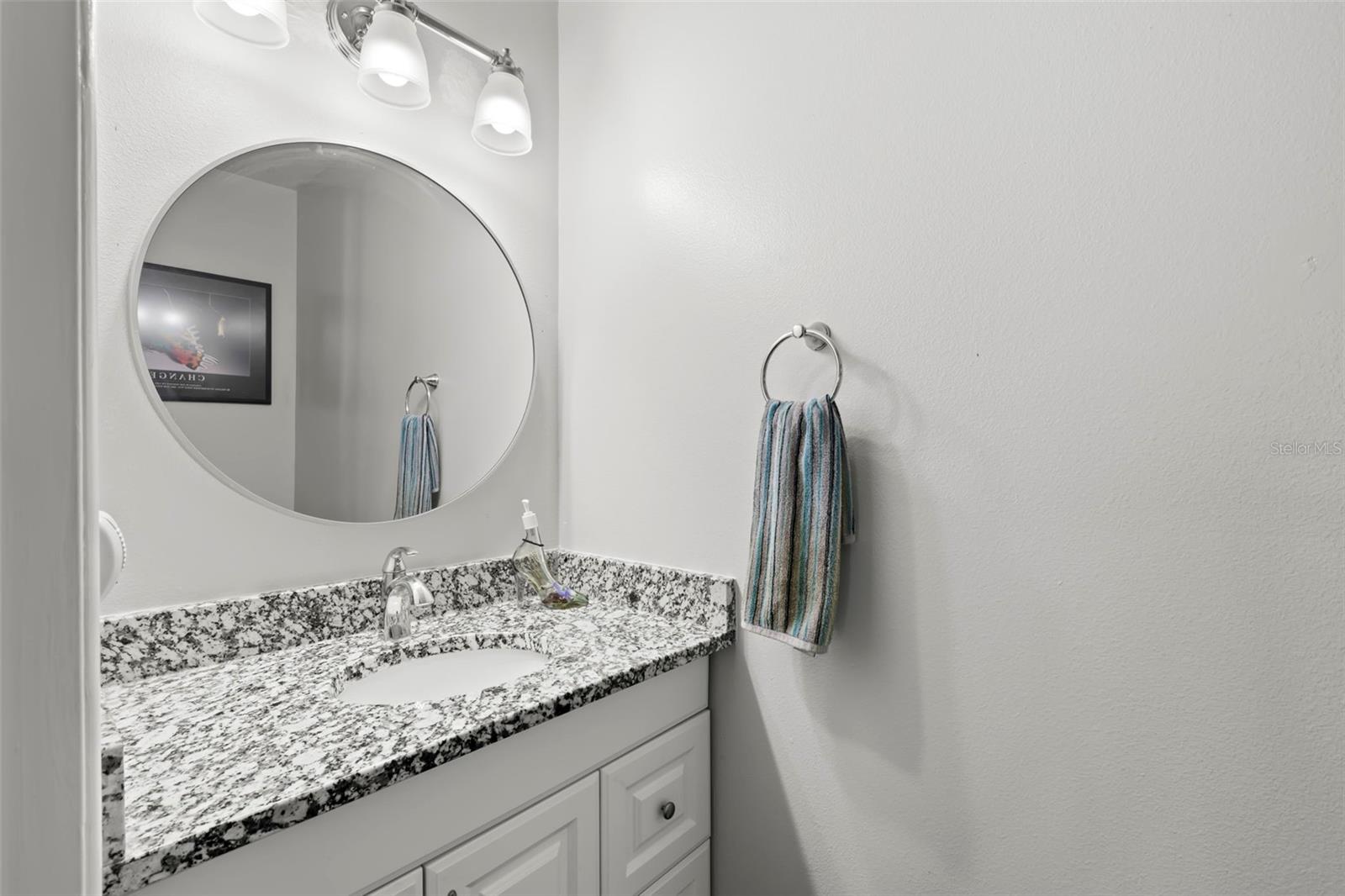 Downstairs Powder Bathroom