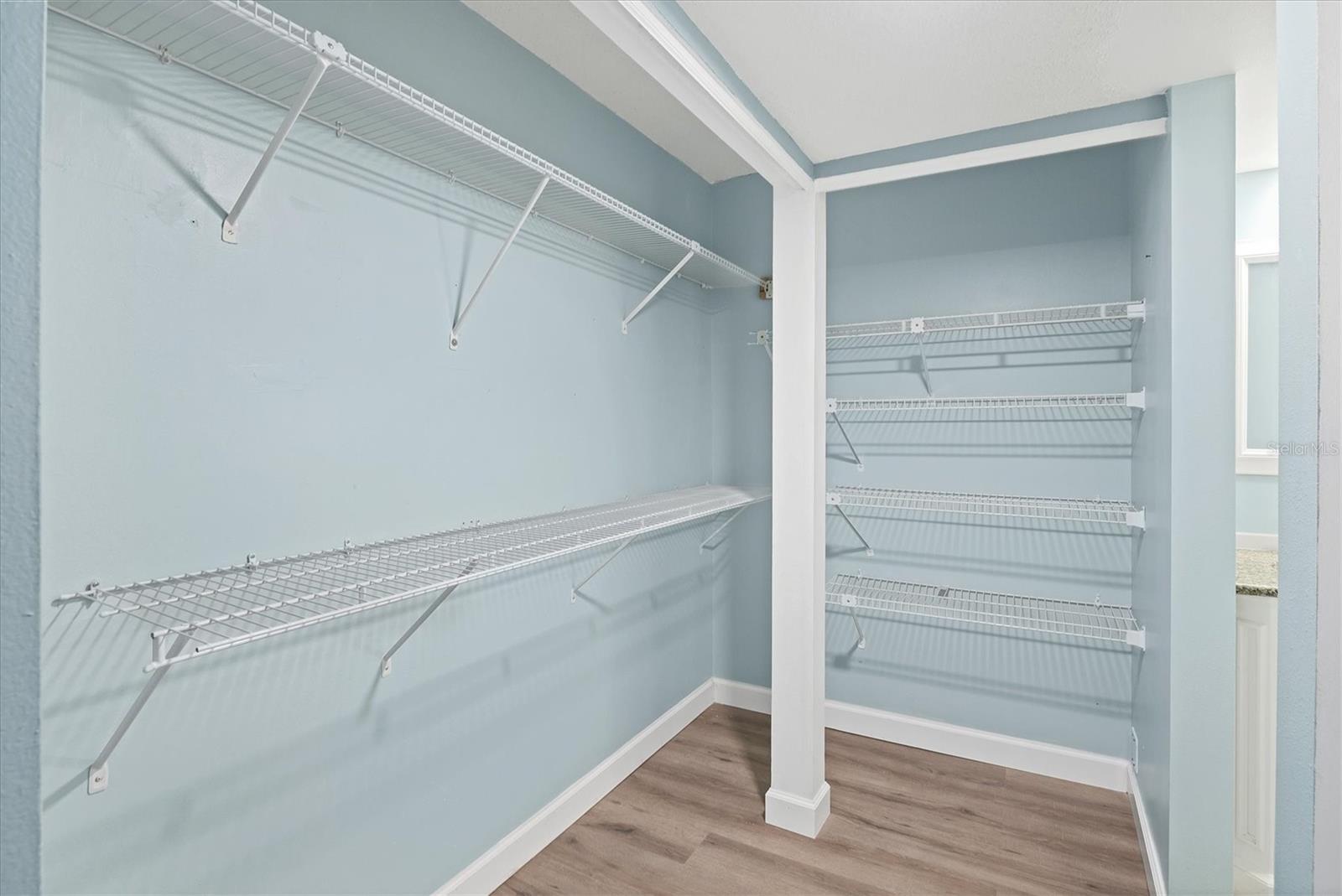 expansive primary closet