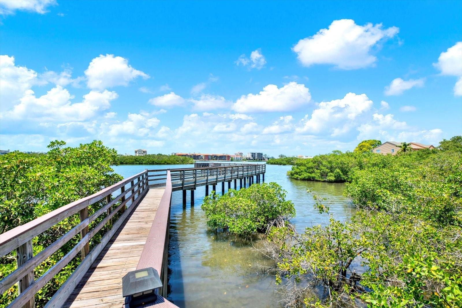 Community Dock