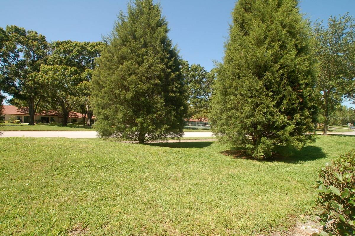 Green Space