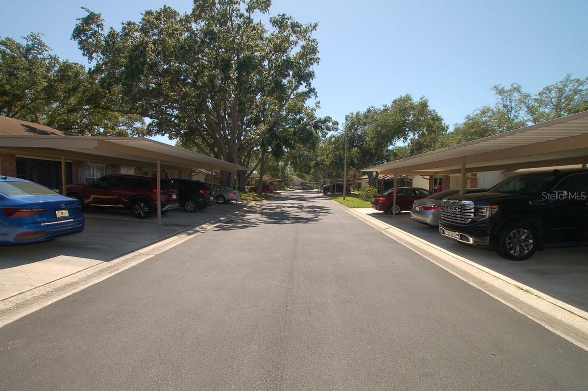 Tarridon Crt