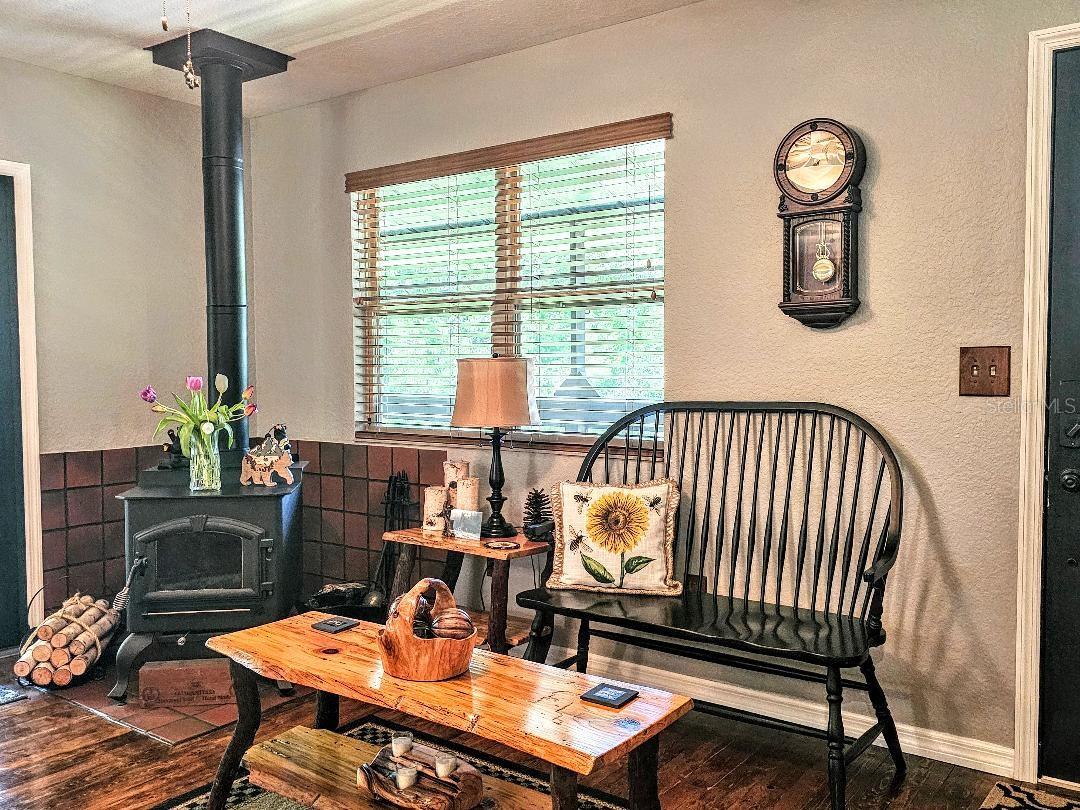 Family Room fireplace