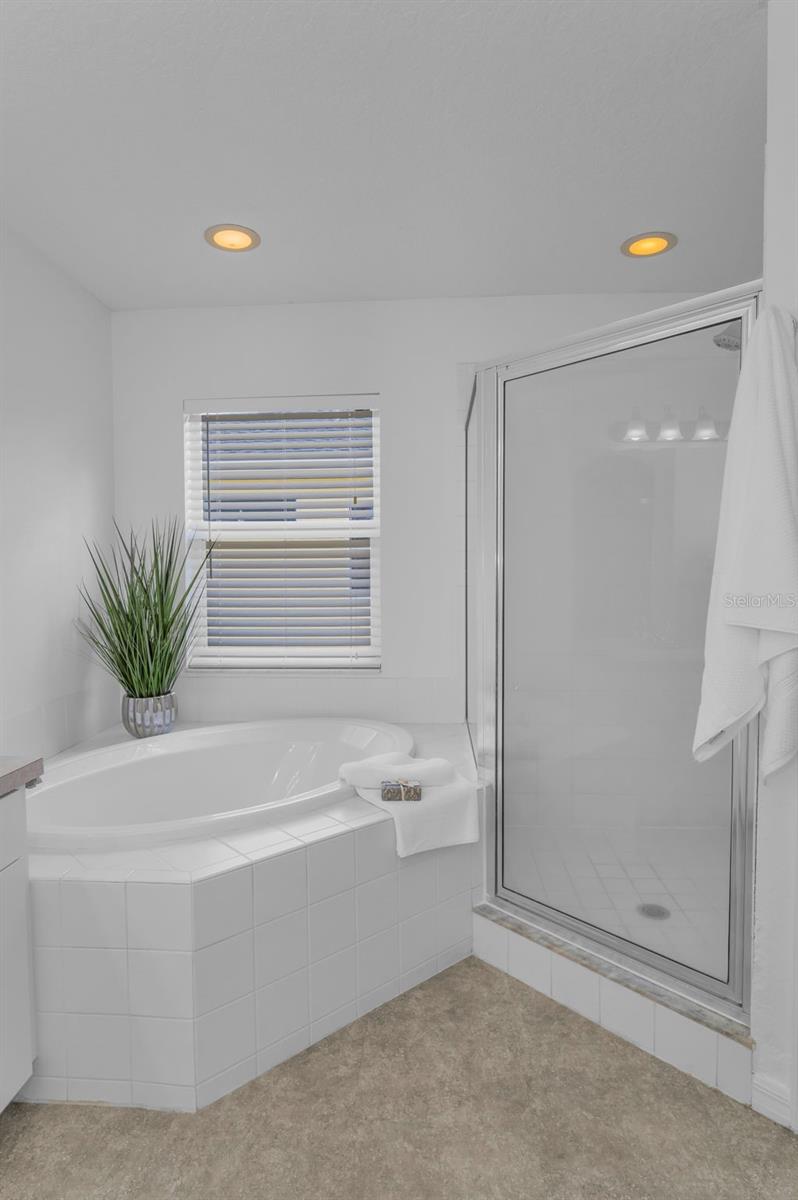 Soaking Tub-Separate Shower