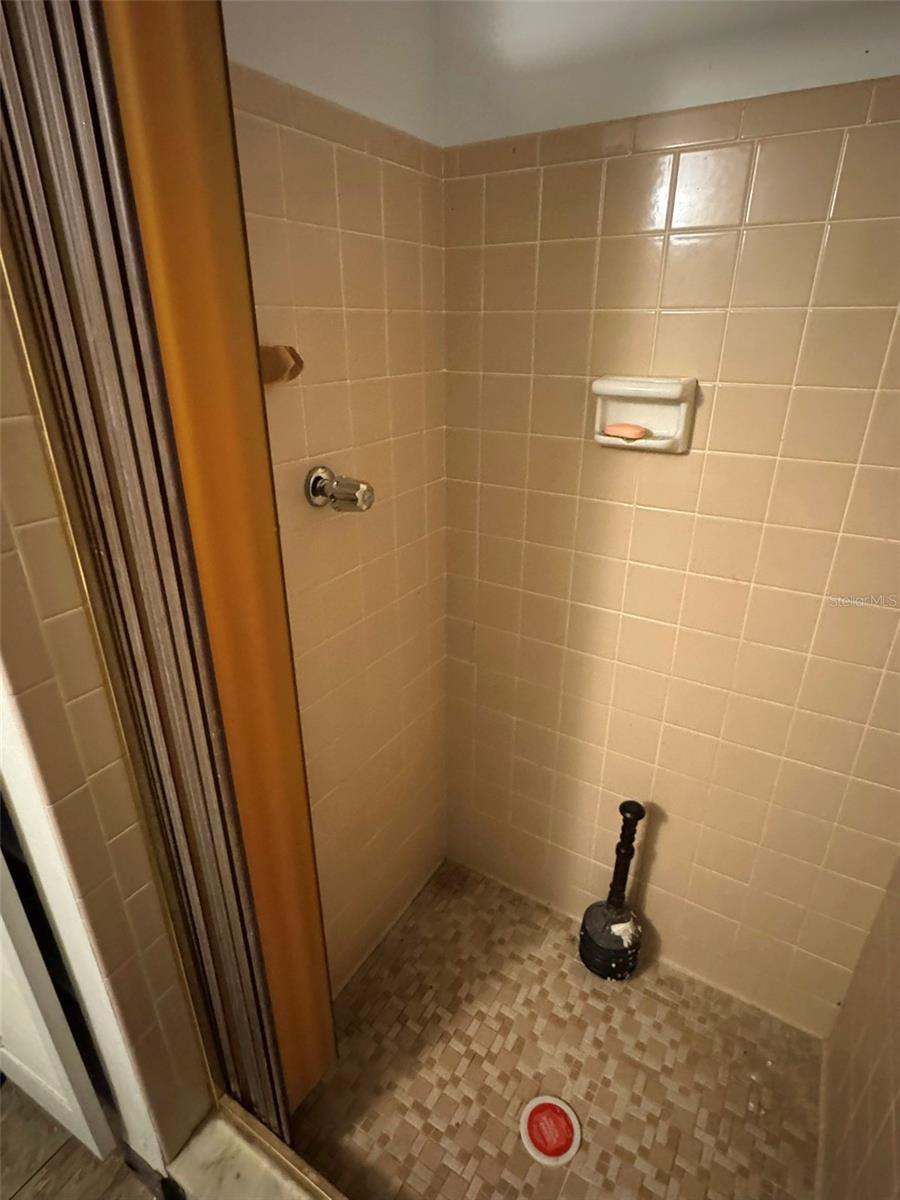 ground floor full bath with shower