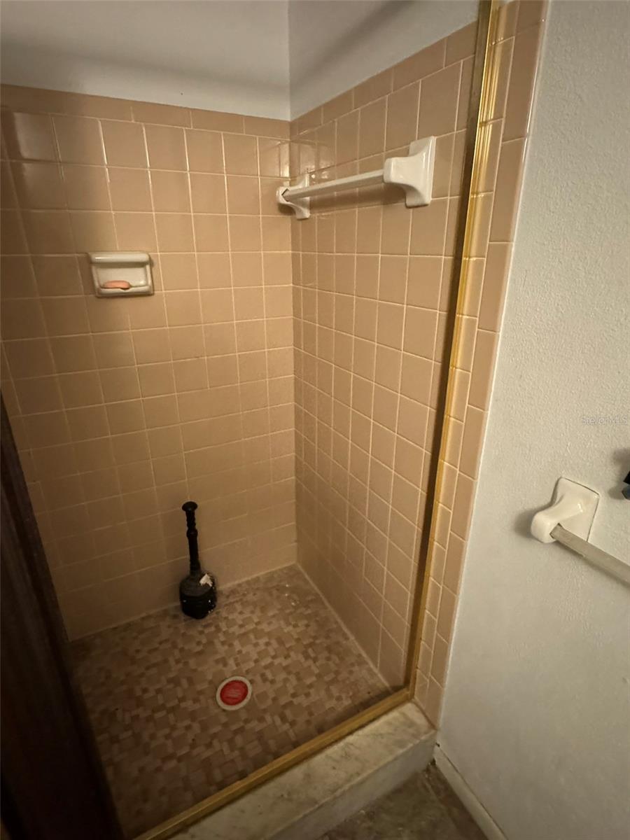ground floor full bath with shower