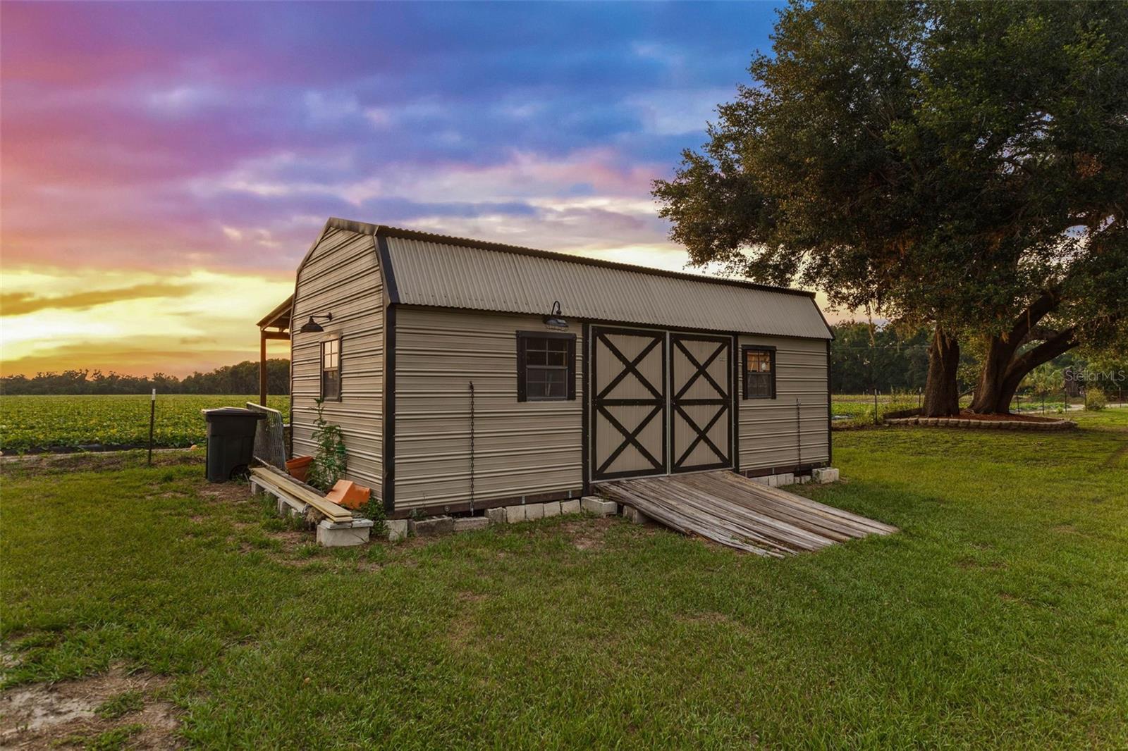 Shed
