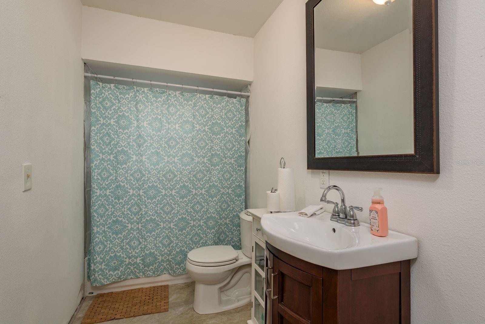 Hallway Bathroom