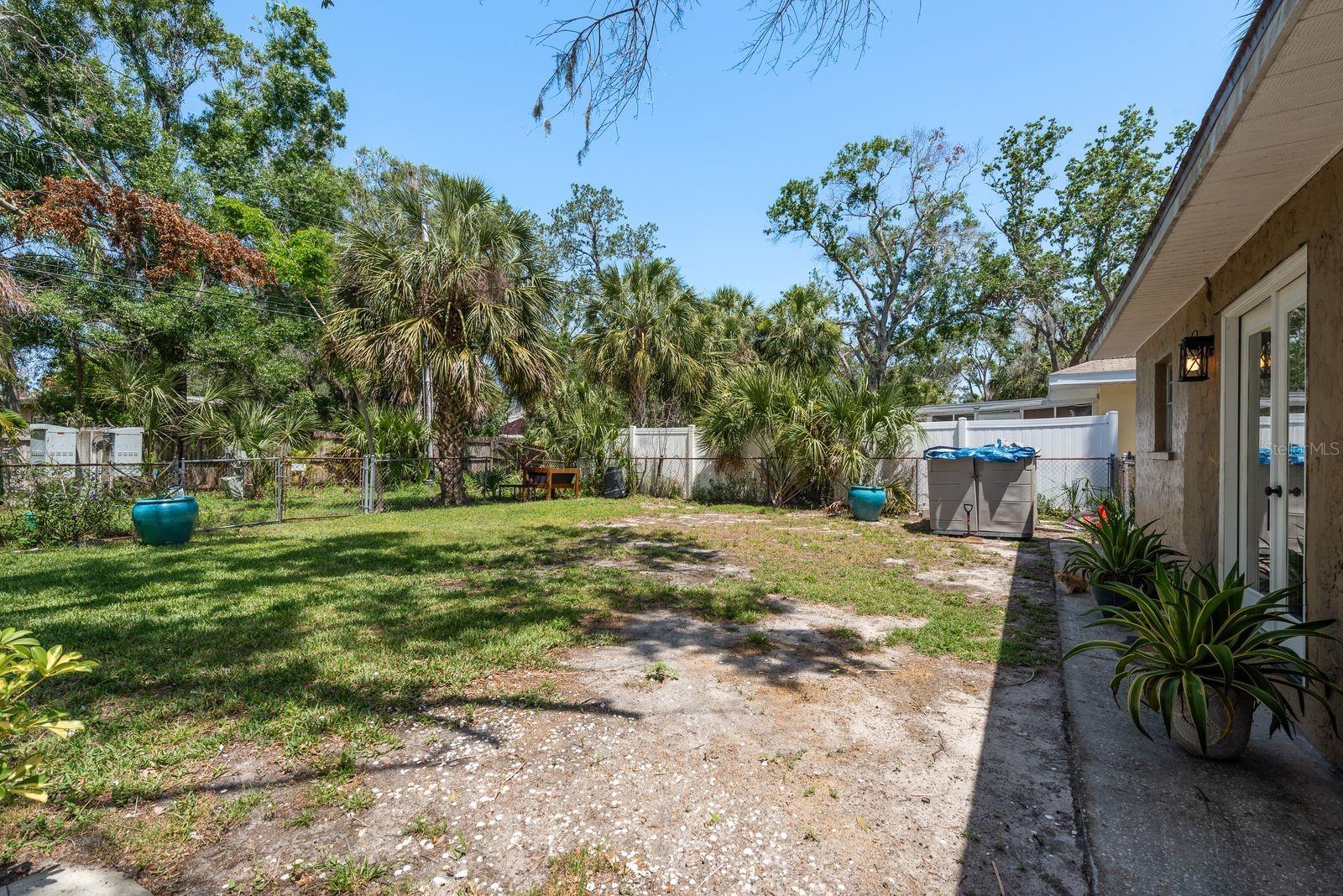 Back Yard