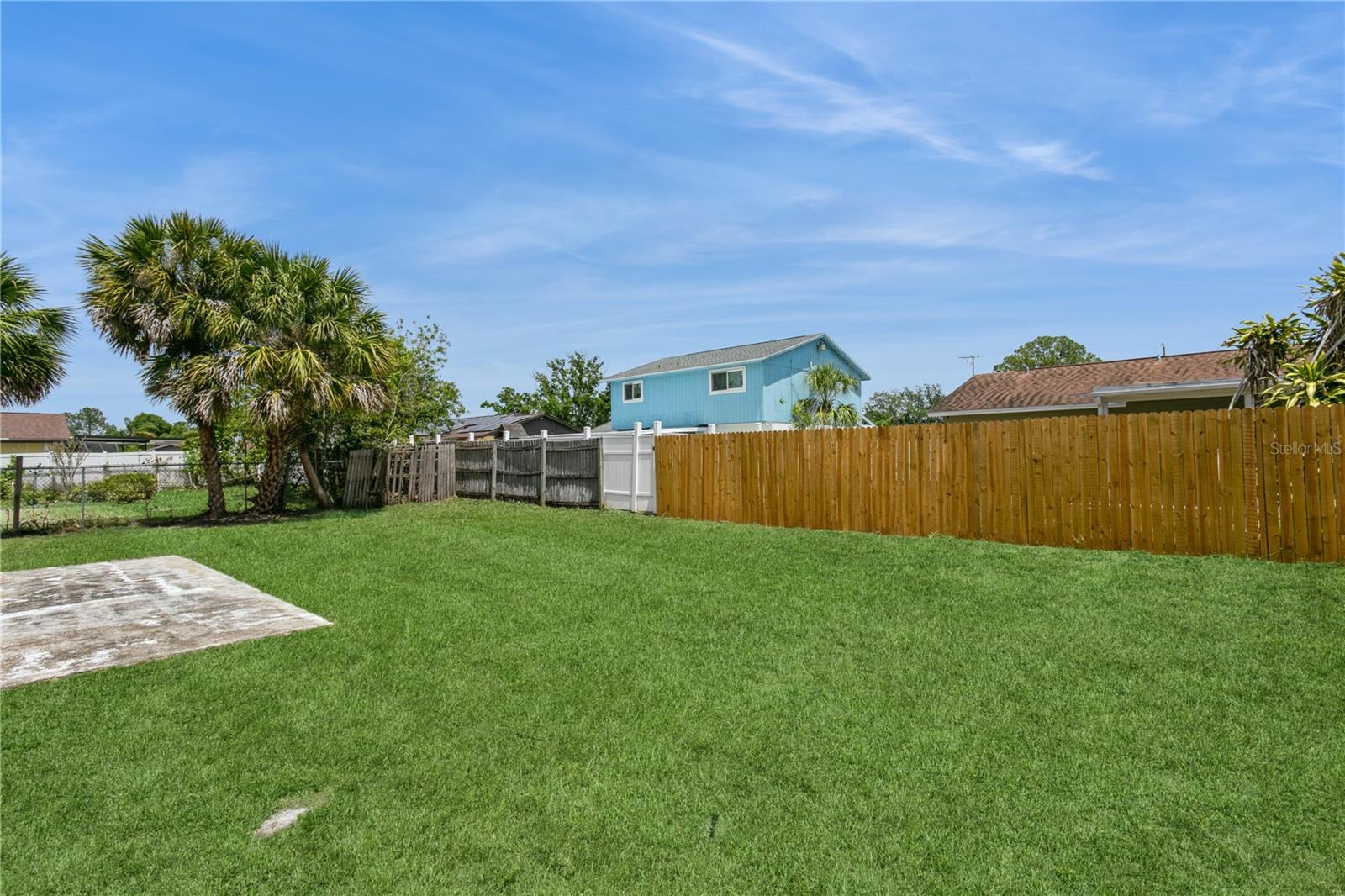 Back Yard