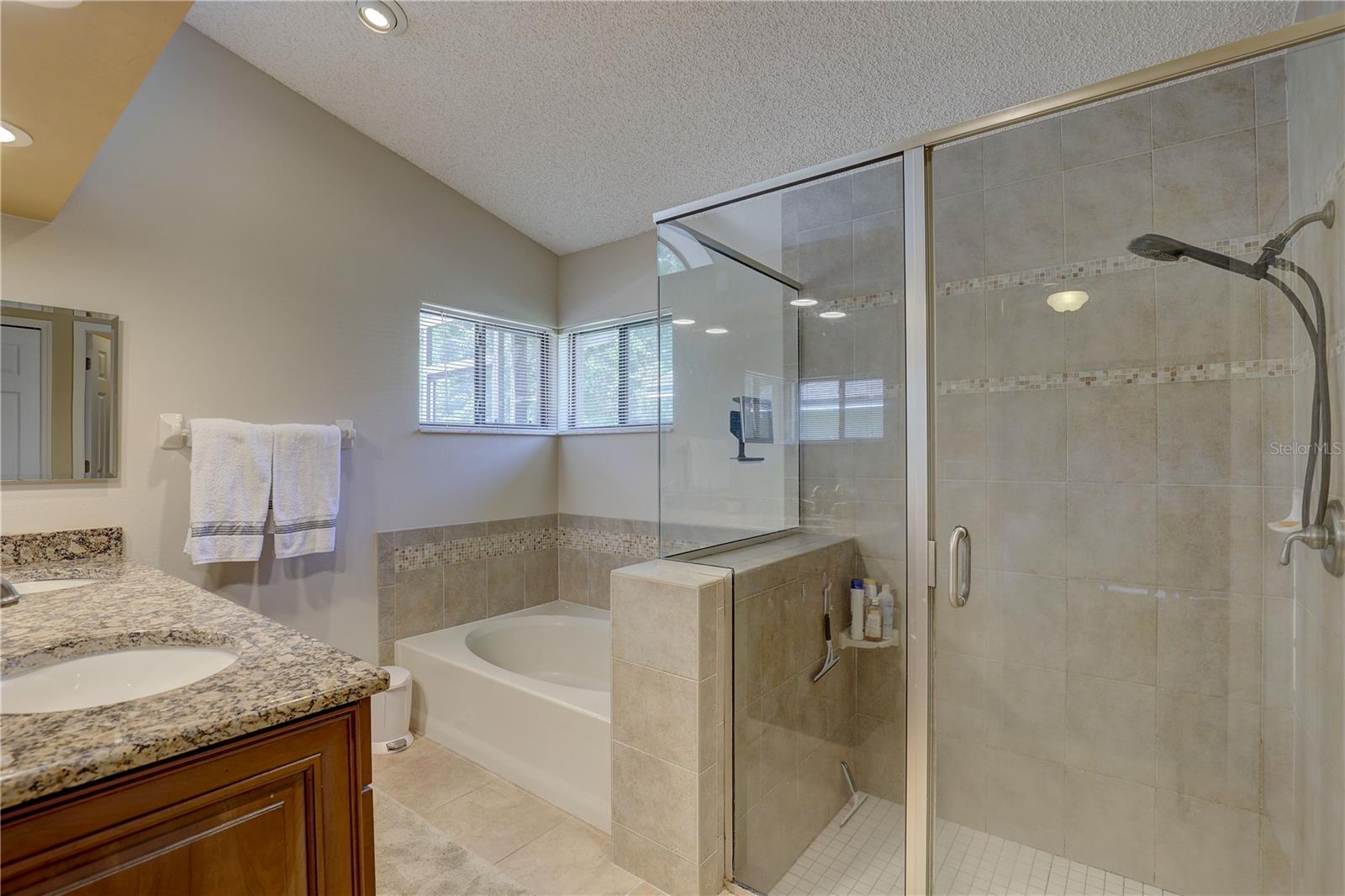 Primary Bathroom Garden Tub