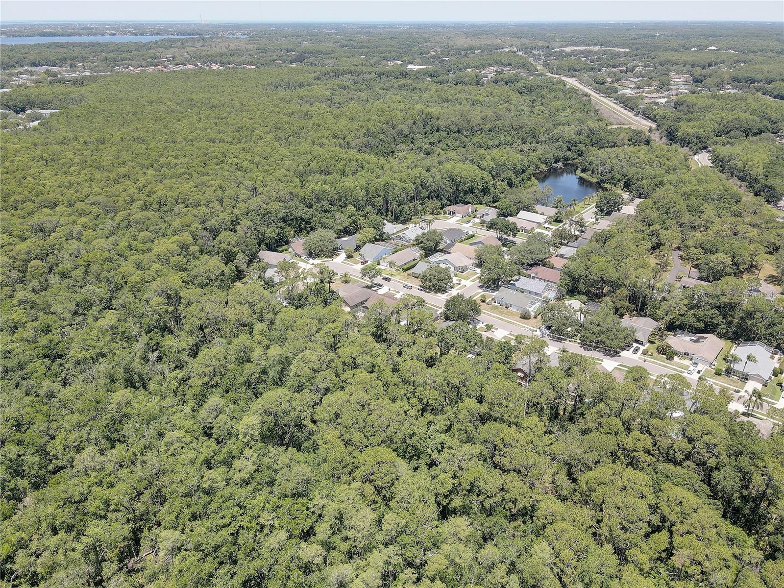 Conservation Area